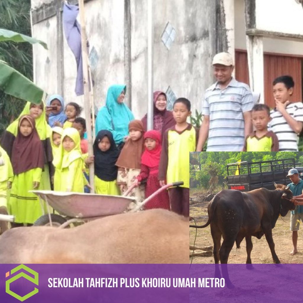 siswa siswi Sekolah Tahfizh Khoiru Ummah antusias menyaksikan prosesi kurban
